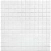 mozaïek aquacolor pure white s 23x23x6 mm