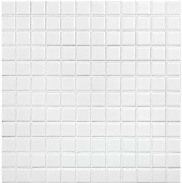 mozaïek aquacolor pure white s 23x23x6 mm