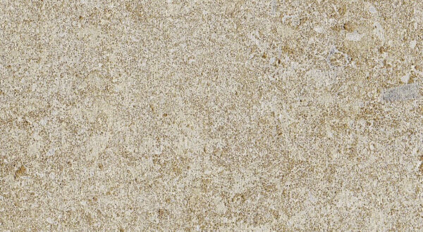 massangis beige clair convento 2