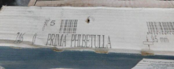 marca corona prima phibetulla (5)