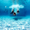 Aquatica Pools