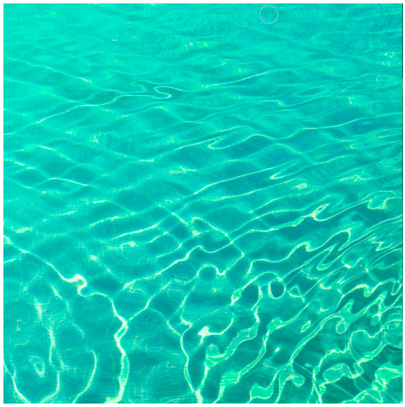 trend aquatica mint julep