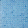 trend aquatica ocean
