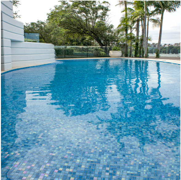 trend aquatica whaoo